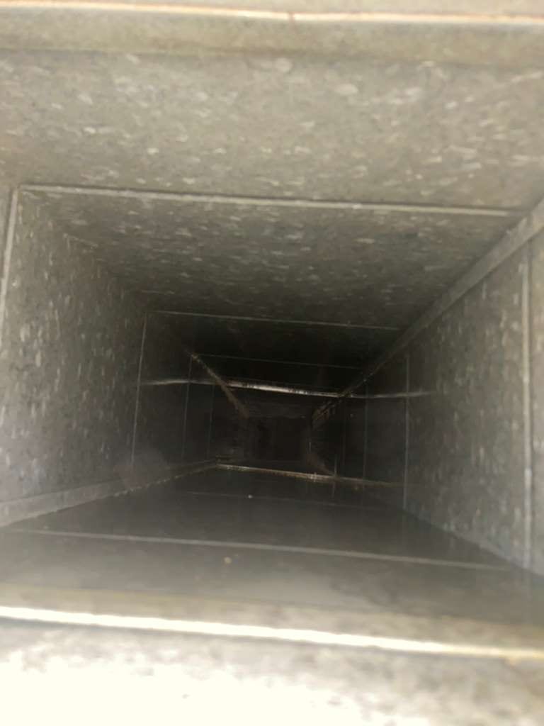 Clear dryer vent after ChimmerJim cleaning